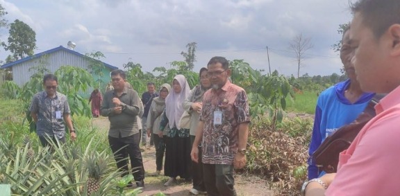 Direktur Hilirisasi Hortikultura Kementan RI