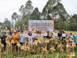 Ketahanan Pangan Kalimantan Selatan, Stabil Meski di Tengah Tekanan