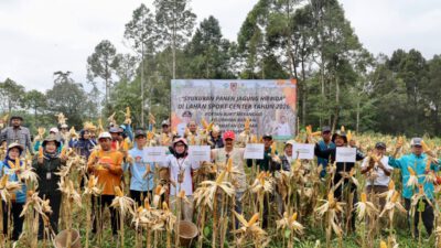 Ketahanan Pangan Kalimantan Selatan, Stabil Meski di Tengah Tekanan