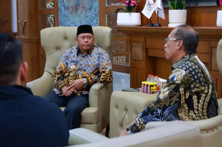 Bupati Barito Kuala Terima Audiensi PLN Kalsel