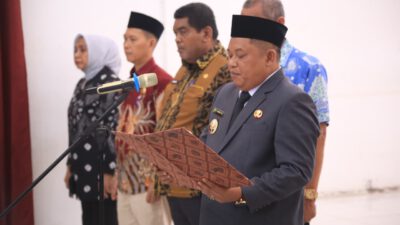 Wakil Bupati Labuhanbatu