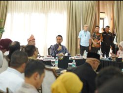 Bupati OKI Suarakan Kesejahteraan Guru PPPK Paruh Waktu ke Komisi X DPR RI