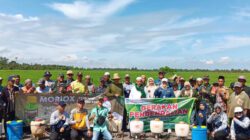 BPTPH Kalsel Perkuat Pengendalian Hama