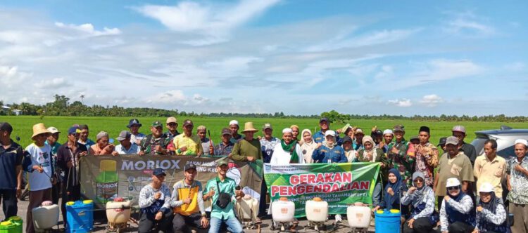 BPTPH Kalsel Perkuat Pengendalian Hama