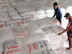 DPKP Kalsel Perketat Pengawasan Penyaluran Pupuk Bersubsidi di Kabupaten/Kota