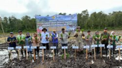Gerakan Tanam Padi di Sungai Tabuk, Dukung Swasembada Pangan