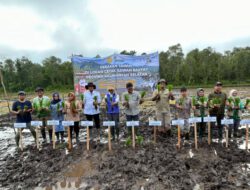 Gerakan Tanam Padi di Sungai Tabuk, DPKP Kalsel Dukung Percepatan Swasembada Pangan
