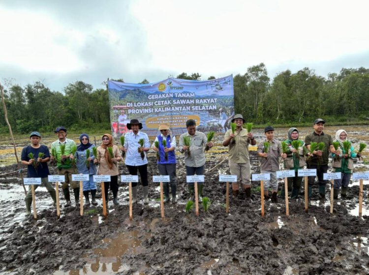 Gerakan Tanam Padi di Sungai Tabuk, Dukung Swasembada Pangan