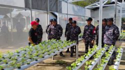 TNI AL Bersama DPKP Kalsel Kembangkan Pertanian Terpadu