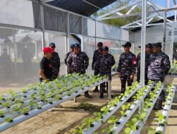 Perkuat Ketahanan Pangan, TNI AL Bersama DPKP Kalsel Kembangkan Pertanian Terpadu