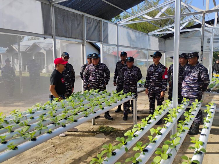 TNI AL Bersama DPKP Kalsel Kembangkan Pertanian Terpadu