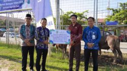 Sambut Iduladha, Bupati Balangan Bagikan 24 Sapi Kurban CSR