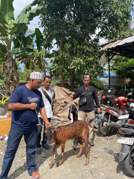 PT Lintas Jawa Sumatra Salurkan Hewan Kurban