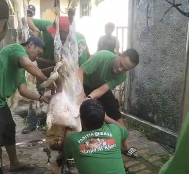 Panitia Kurban Masjid Al-Khoir Salurkan Daging kepada Warga