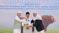 Gubernur H. Muhidin Serahkan Sapi Kurban