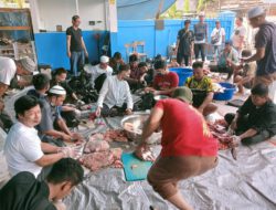 Semangat Berbagi di Idul Adha, SPPG Wawar 3 Banjarmasin Sembelih Sapi Kurban 600 Kg