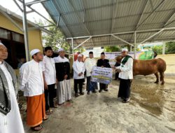 Pemkab Kotabaru Salurkan Bantuan Sapi Kurban Presiden, Ribuan Kupon Dibagikan
