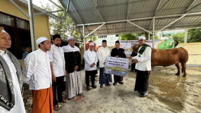 Pemkab Kotabaru Salurkan Bantuan Sapi Kurban Presiden, Ribuan Kupon Dibagikan
