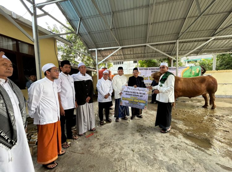 Pemkab Kotabaru Salurkan Bantuan Sapi Kurban Presiden, Ribuan Kupon Dibagikan