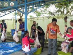 Semangat Berkurban dan Kebersamaan, Sekretariat DPRD Barito Kuala Sembelih Satu Ekor Sapi di Hari Raya Idul Adha 1447 H