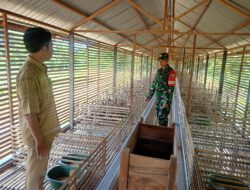 Sambangi Peternakan Itik Petelur, Babinsa Berikan Motivasi Pengelola BUMDes