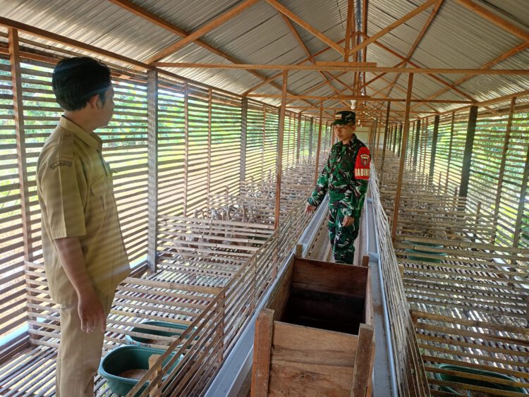 Sambangi Peternakan Itik Petelur, Babinsa Berikan Motivasi Pengelola BUMDes