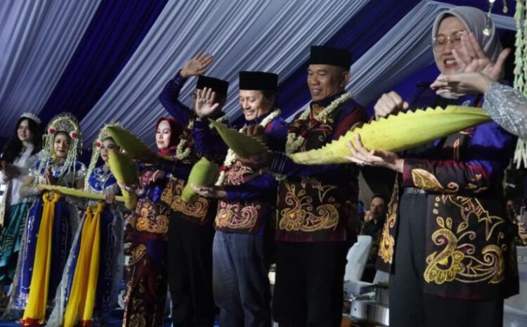 Puncak Harjad Kotabaru ke-76; Wagub Kalsel Apresiasi Prestasi hingga Pembangunan Jembatan Pulau Laut