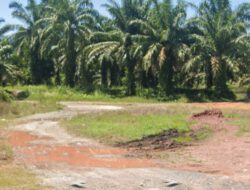 Lapor Kapolda Sumut! Aktivitas Diduga Transaksi Narkoba di Sapu Lidi Bay Pass Masih Terpantau Ramai