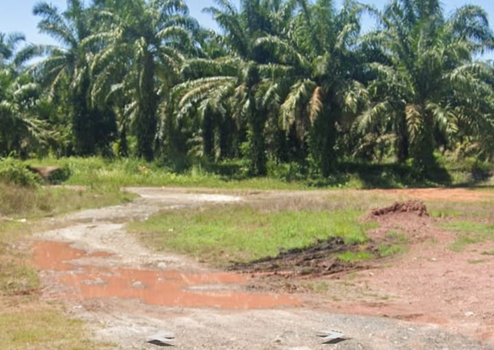 Narkoba di Sapu Lidi Bay Pass