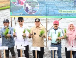 Bupati Bahrul Ilmi Hadiri Gerakan Tanam Serempak 52.000 Hektare, Tegaskan Komitmen Batola Dukung Swasembada Pangan Nasional
