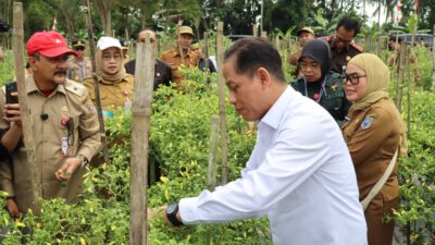 Dukung Ketahanan Pangan dan Kendali Inflasi, Wamenko Pangan Panen Cabai di Angkinang