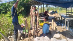 Kodim 1002/HST pacu pembangunan empat jembatan meski cuaca tak menentu