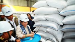 Peresmian Gudang Bulog, Sekdaprov Kalsel: Perkuat Posisi Kalsel Penyangga Utama Swasembada Beras di Pulau Kalimantan