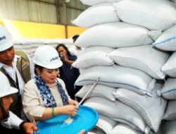 Peresmian Gudang Bulog, Sekdaprov Kalsel: Perkuat Posisi Kalsel Penyangga Utama Swasembada Beras di Pulau Kalimantan