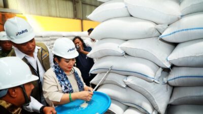 Peresmian Gudang Bulog, Sekdaprov Kalsel: Perkuat Posisi Kalsel Penyangga Utama Swasembada Beras di Pulau Kalimantan