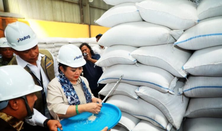 Peresmian Gudang Bulog, Sekdaprov Kalsel: Perkuat Posisi Kalsel Penyangga Utama Swasembada Beras di Pulau Kalimantan