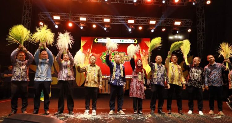 Tapin Art Fest 2026; Gubernur H. Muhidin : Bukti Budaya dan Pariwisata Banua Miliki Daya Saing Nasional