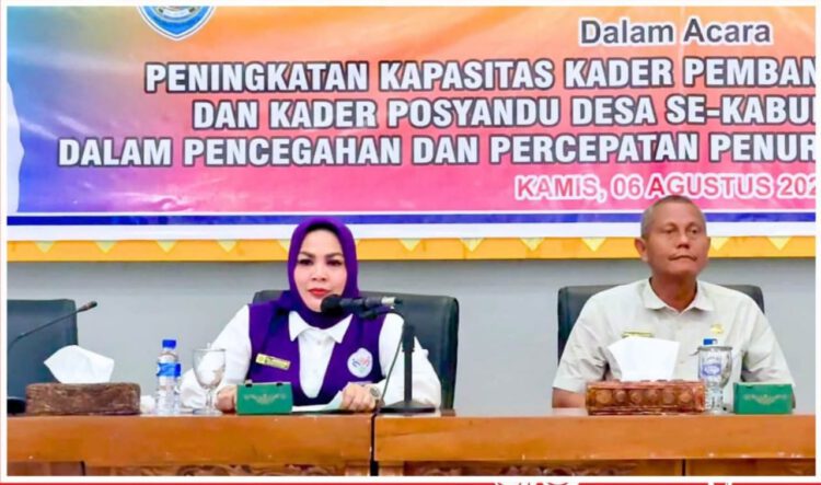 Perkuat Peran Kader, DPMD Labuhanbatu Gelar Sosialisasi Pencegahan Stunting