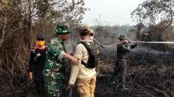 Dandim 1001/HSU Turun Langsung Padamkan Kebakaran Lahan di Desa Pulau Damar