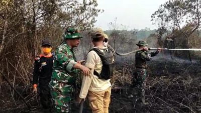 Dandim 1001/HSU Turun Langsung Padamkan Kebakaran Lahan di Desa Pulau Damar
