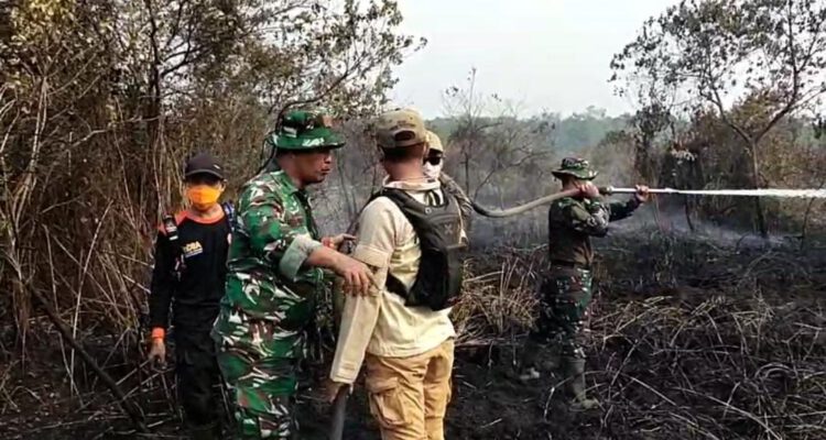 Dandim 1001/HSU Turun Langsung Padamkan Kebakaran Lahan di Desa Pulau Damar