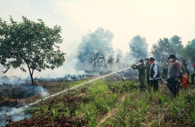 Danrem 101/Ant Bersama, KSAL dan Gubernur Kalsel Terjun Langsung Tangani Karhutla di Guntung Damar Banjarbaru