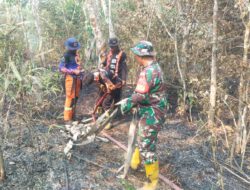 Babinsa Bersinergi dengan Damkar dan Warga Kendalikan Karhutla di HST