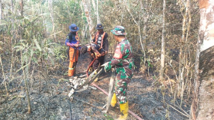 Babinsa Bersinergi dengan Damkar dan Warga Kendalikan Karhutla di HST