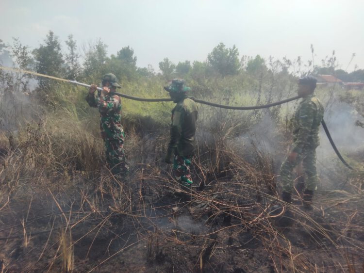 Prajurit Kodim 1006/Banjar dan Yonif 623/BWU Berjibaku Jinakkan Karhutla, Krisis Air Jadi Tantangan Baru di Banjarbaru