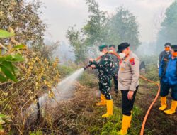 Jelang Kunker Presiden RI di Bumi Lambung Mangkurat, Danrem 101/Ant Bersama Forkopimda Kalsel Tinjau Sekaligus Padamkan Karhutla di Tegal Arum