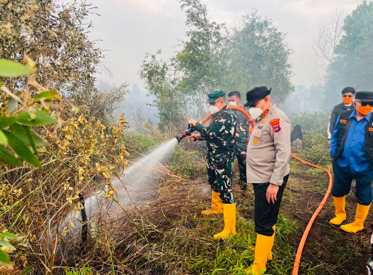 Jelang Kunker Presiden RI di Bumi Lambung Mangkurat, Danrem 101/Ant Bersama Forkopimda Kalsel Tinjau Sekaligus Padamkan Karhutla