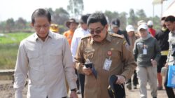 Diskominfo Kalsel Optimalkan Peran Media untuk Perkuat Penanganan Karhutla