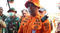 BPBD Kalsel Catat 2.083 Kejadian Karhutla, Luas Lahan Terdampak Capai 10.095,14 Hektare