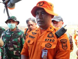 BPBD Kalsel Catat 2.083 Kejadian Karhutla, Luas Lahan Terdampak Capai 10.095,14 Hektare